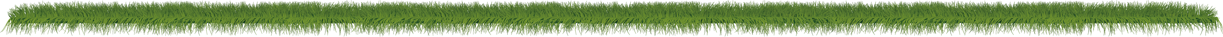 Rainbow City Grass